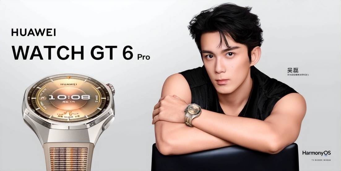 CH GT 6系列2千档热门之选2025